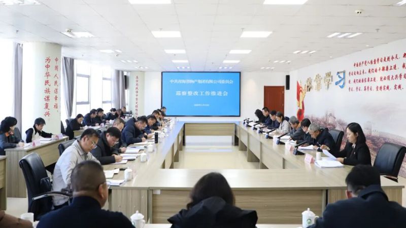 集團(tuán)黨委召開巡察整改工作推進(jìn)會(huì)