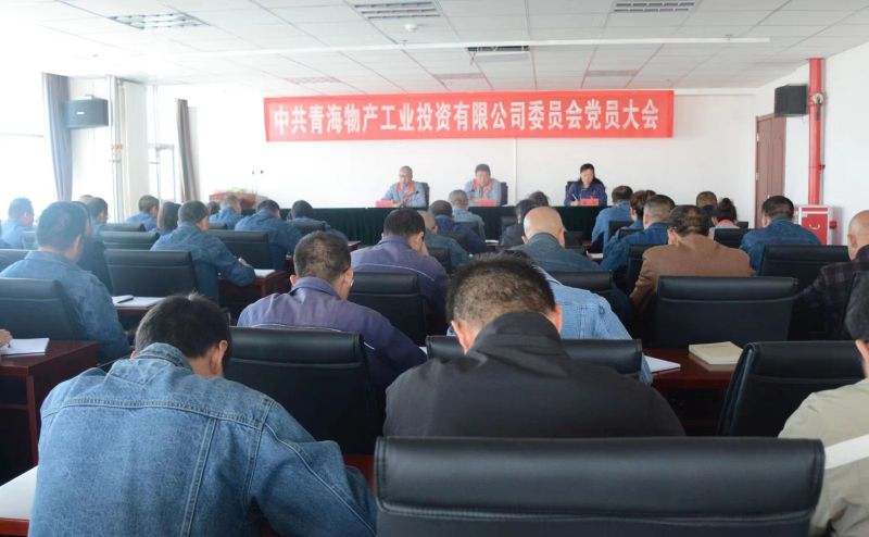 實(shí)干擔(dān)當(dāng)拼搏趕超 為奪取新時(shí)代物產(chǎn)工投綠色低碳高質(zhì)量發(fā)展新勝利不懈奮斗 &mdash;&mdash;物產(chǎn)工投公司黨委召開換屆選舉大會