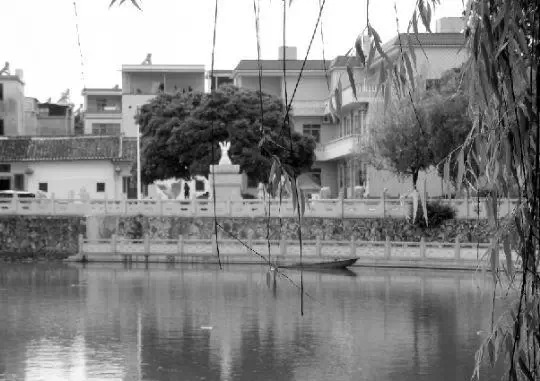 老鄉(xiāng)眼里的李河君：陌生富豪，夫人助其發(fā)財